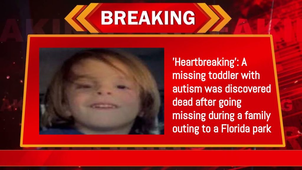 'Heartbreaking': A missing toddler with autism was discovered dead after going missing during a family outing to a Florida park