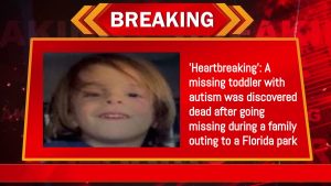 ‘Heartbreaking’: A missing toddler with autism was discovered dead after going missing during a family outing to a Florida park